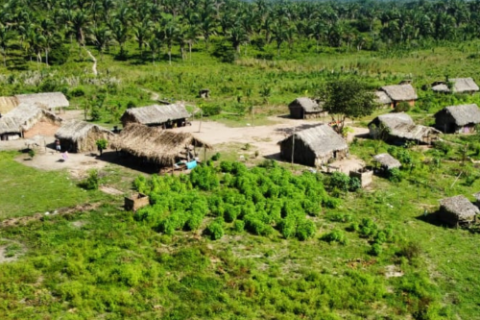 Quilombolas retomam território